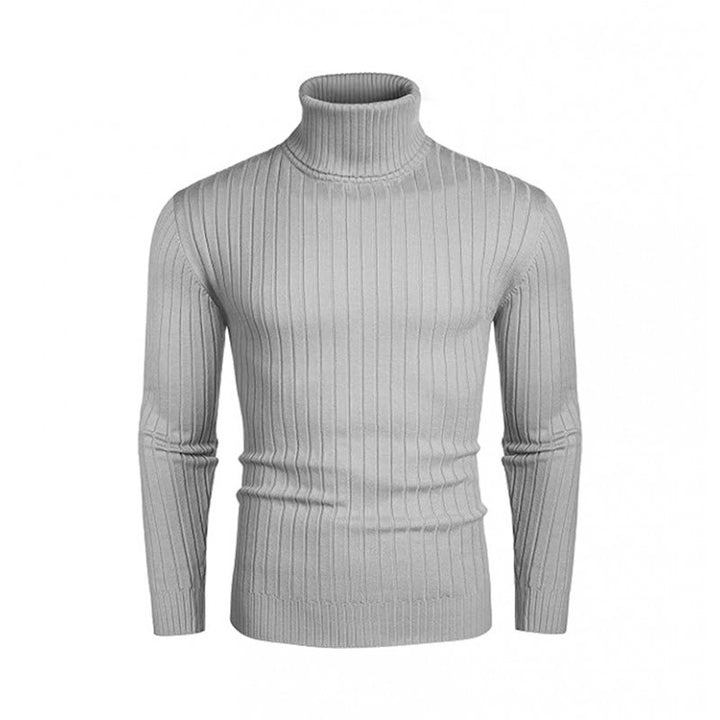 Herren Rollkragenpullover aus elastischem Strickmaterial mit feinem Rippendesign Aliams