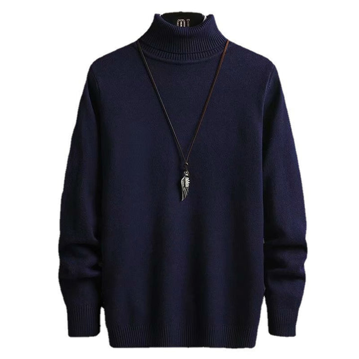 Herren Rollkragenpullover aus weicher Wolle Aliams