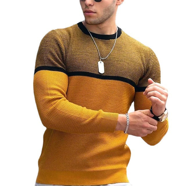 Herren Strickpullover mit modernen Akzenten Aliams