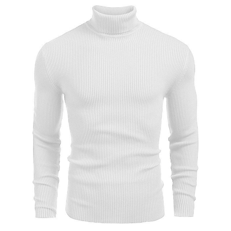 Herren Rollkragenpullover aus feinem Rippstrick Aliams