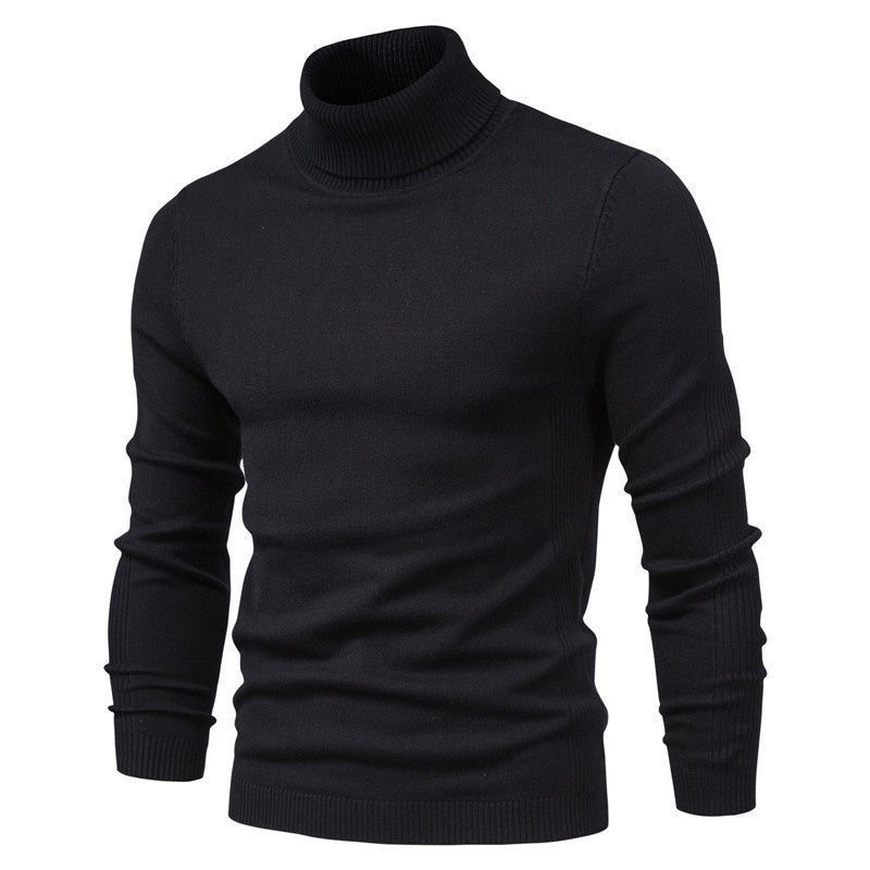 Herren eleganter Rollkragenpullover aus feinem Strick Aliams