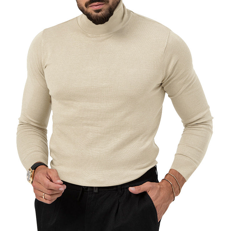 Herren Rollkragenpullover aus weichem Baumwollmix mit strukturierter Oberfläche Aliams