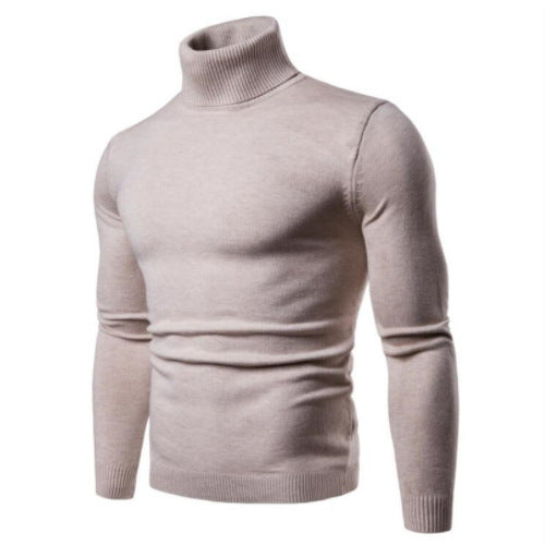 Herren Rollkragenpullover aus feiner Merinowolle Aliams