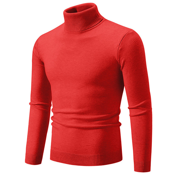 Herren eleganter Rollkragenpullover aus feiner Baumwolle Aliams