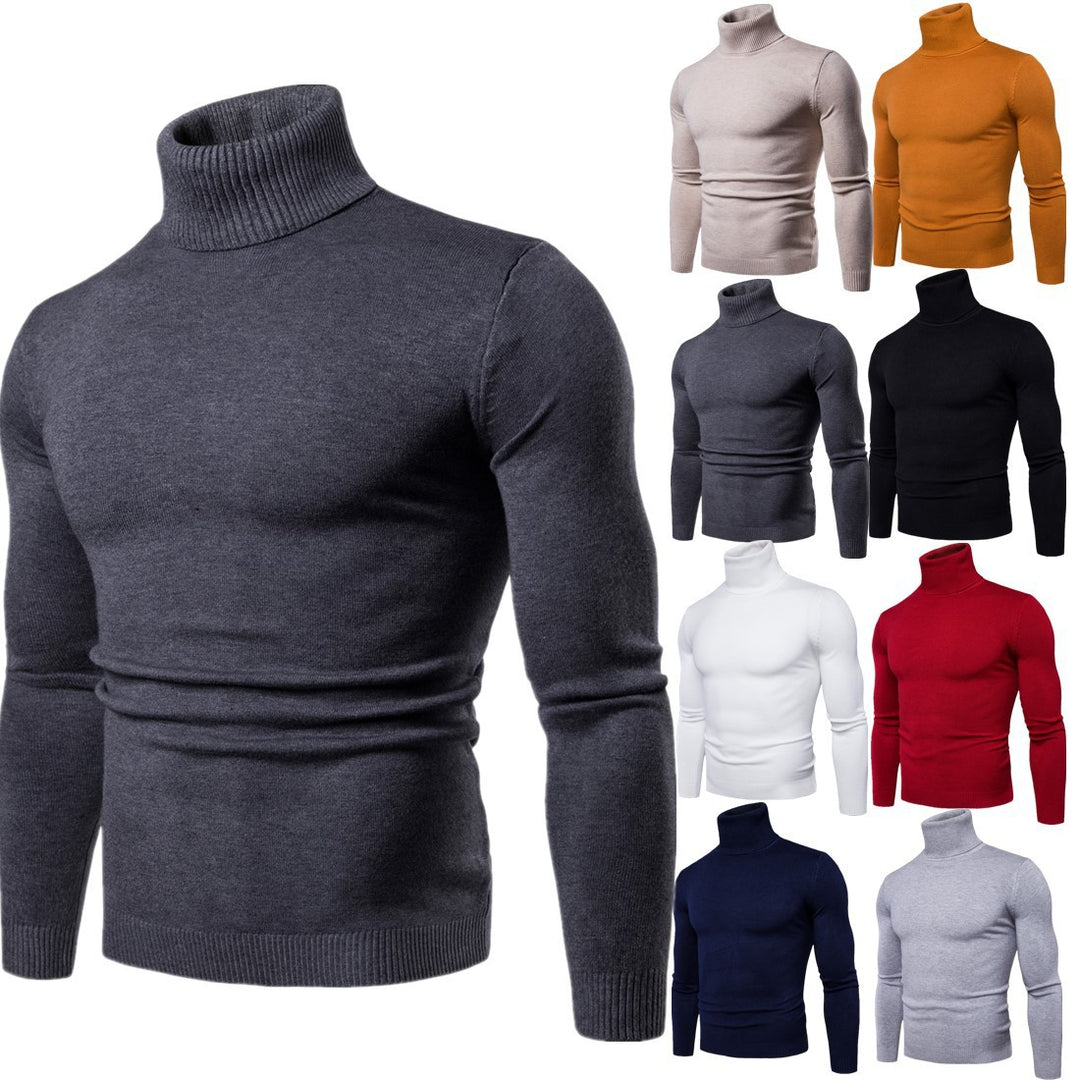 Herren Rollkragenpullover aus weichem Strick Aliams