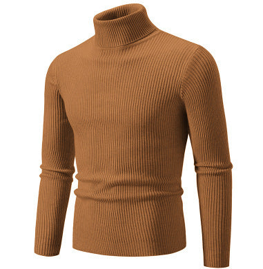 Herren Rollkragenpullover mit strukturiertem Rippenmuster Aliams