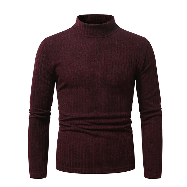 Herren feinstrickender Rollkragenpullover Aliams