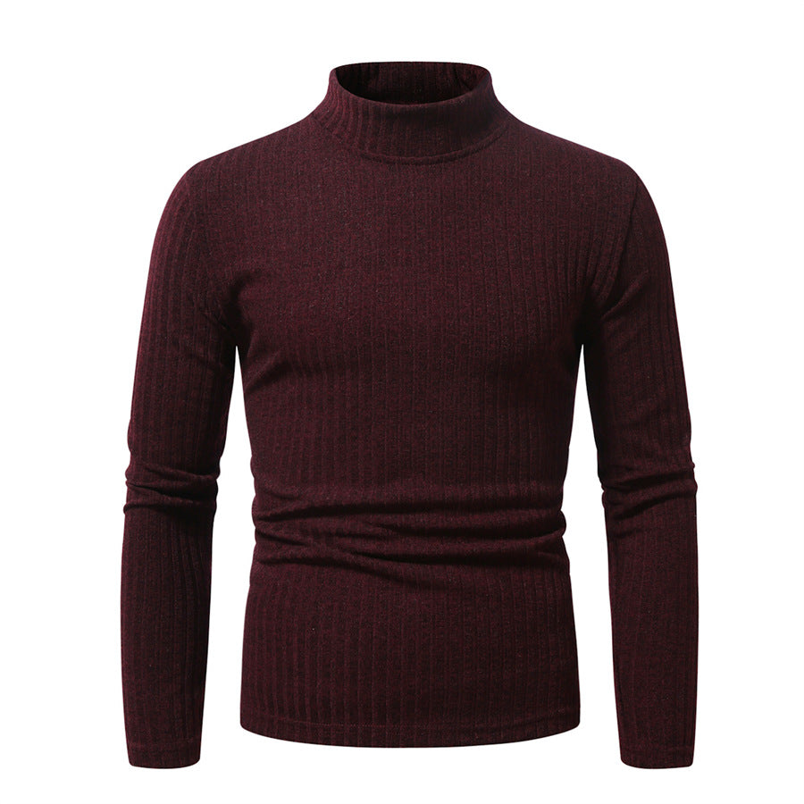 Herren eleganter Rollkragenpullover mit vertikalem Rippstrickdesign Aliams