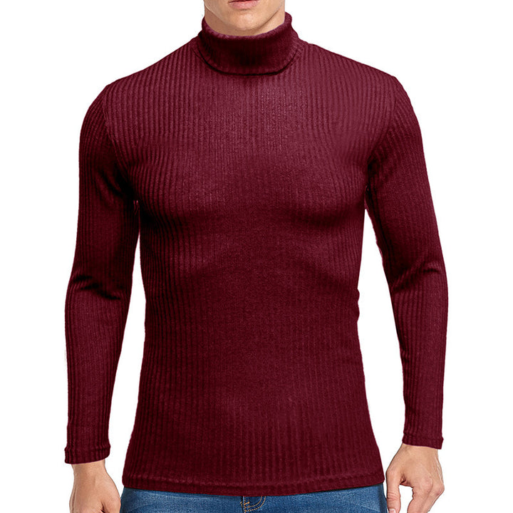 Herren Rollkragenpullover Aliams