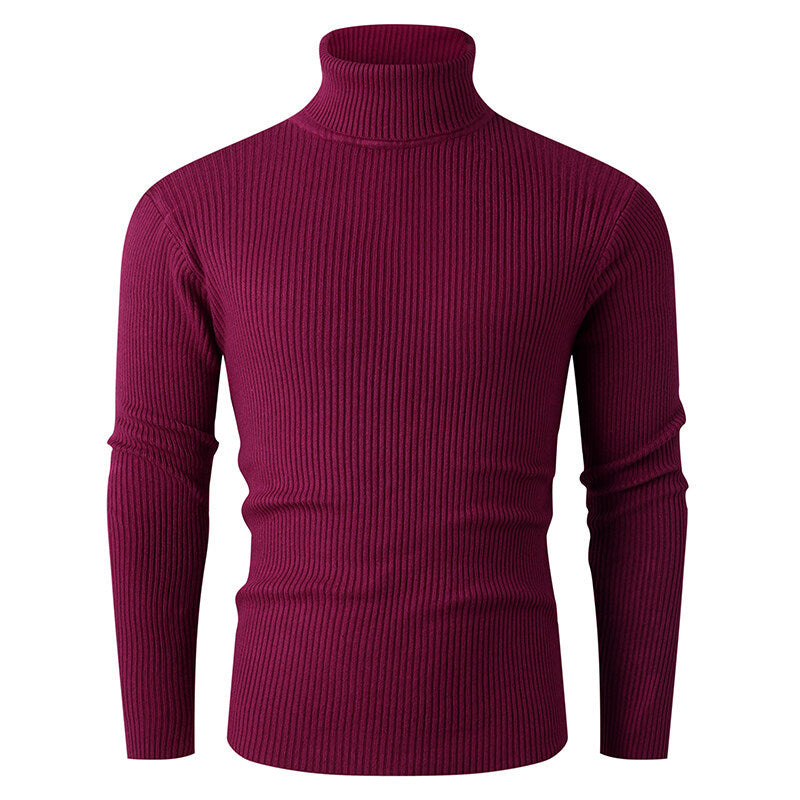 Herren Rollkragenpullover aus feinem Rippstrick Aliams