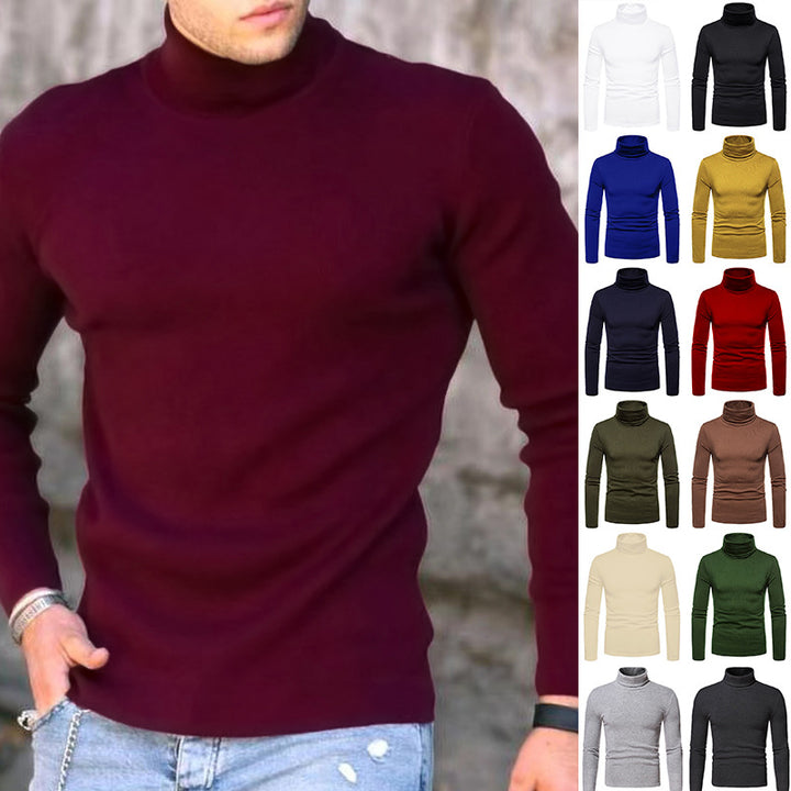 Herren Rollkragenpullover aus weichem Stretchmaterial Aliams