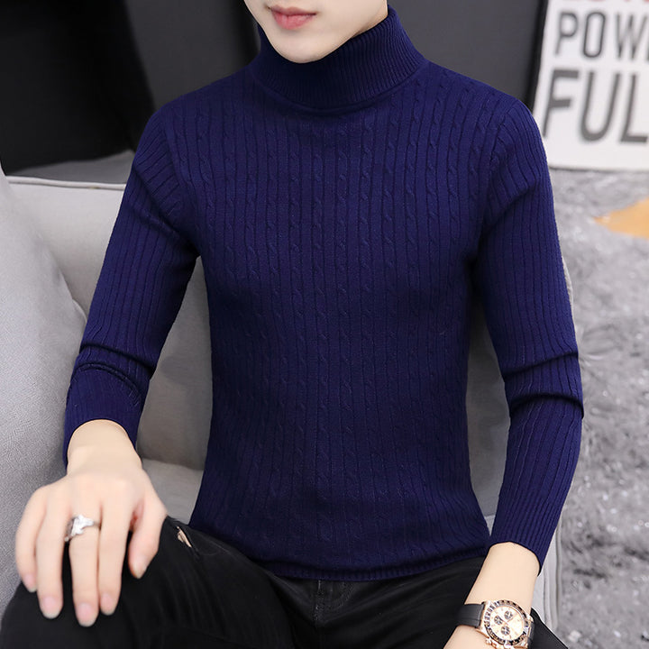 Herren Rollkragenpullover im stilvollen Rippstrickdesign Aliams