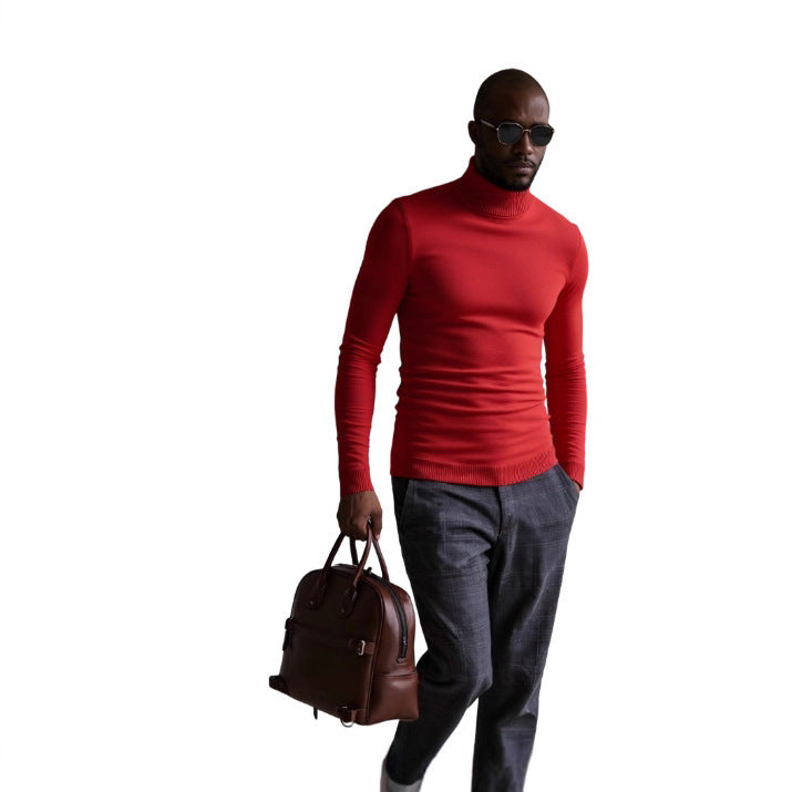 Herren rollkragen pullover mit feiner Struktur Aliams