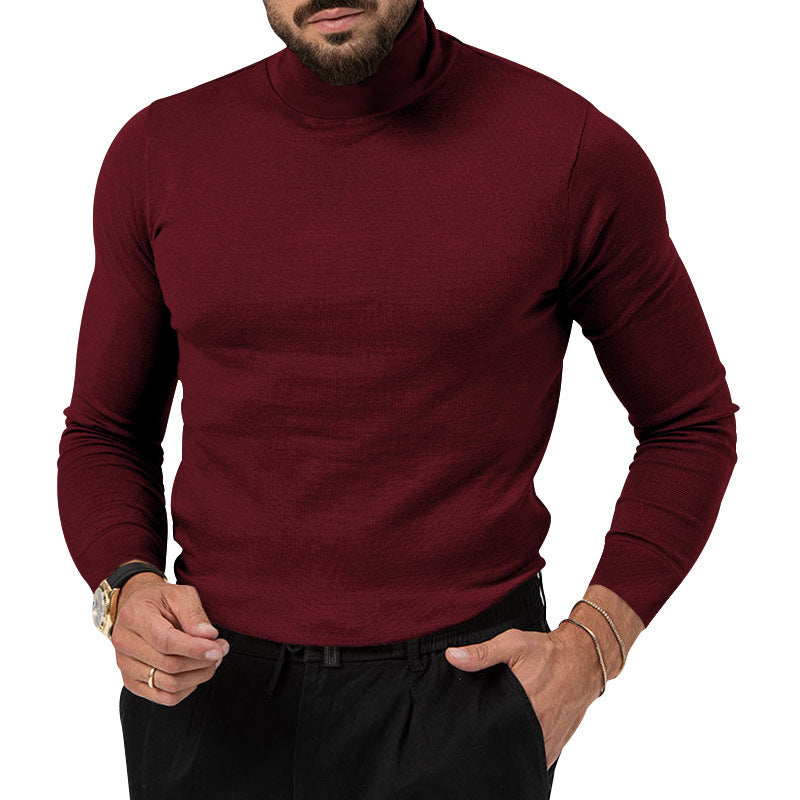 Herren eleganter Rollkragenpullover aus hochwertiger Merinowolle Aliams