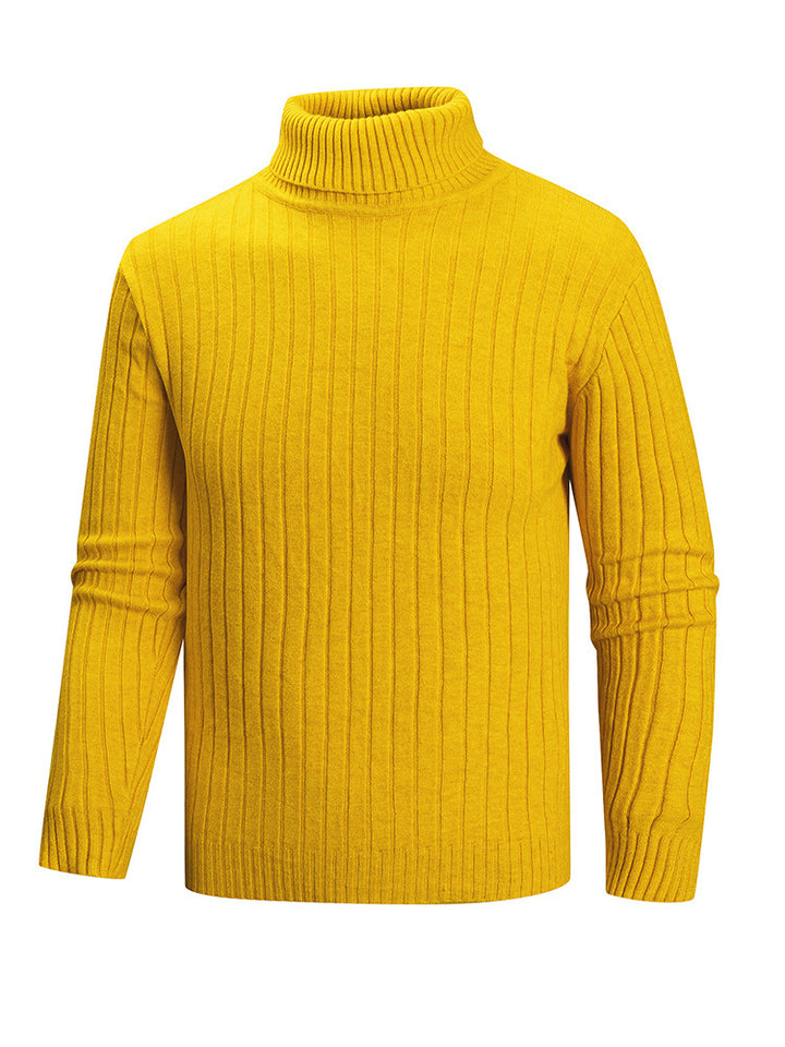 Herren Rollkragenpullover aus hochwertigem Feinstrick Aliams