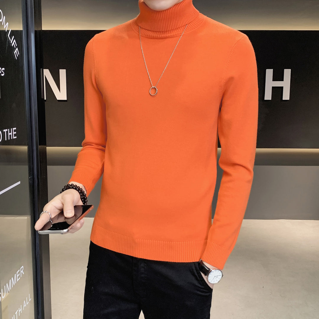 Herren Pullover mit hohem Kragen aus weicher Strickware Aliams