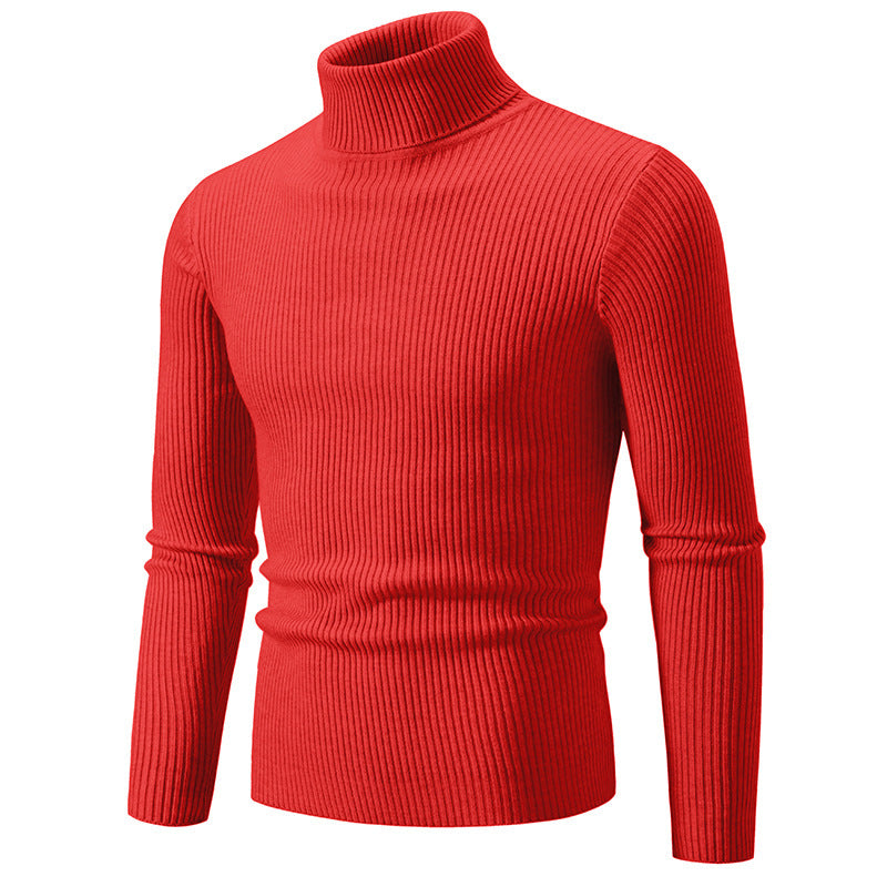 Herren feiner Rollkragenpullover aus langlebigem Strickmaterial Aliams