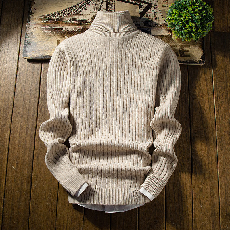 Herren Rollkragenpullover mit Rippstrickmuster Aliams