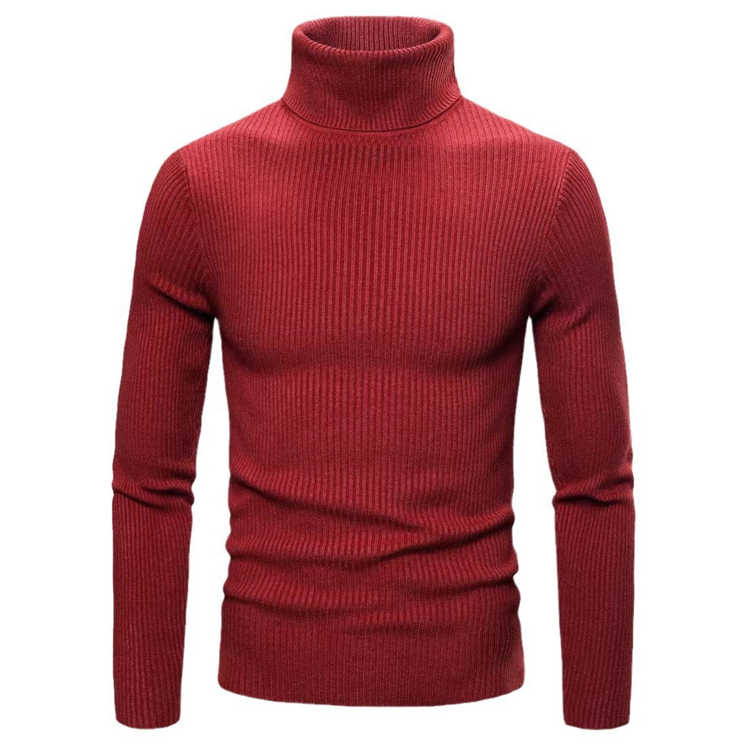 Herren Eleganter Rollkragenpullover aus feiner Strickqualität Aliams