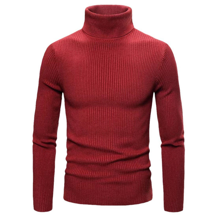 Herren Eleganter Rollkragenpullover aus feiner Strickqualität Aliams