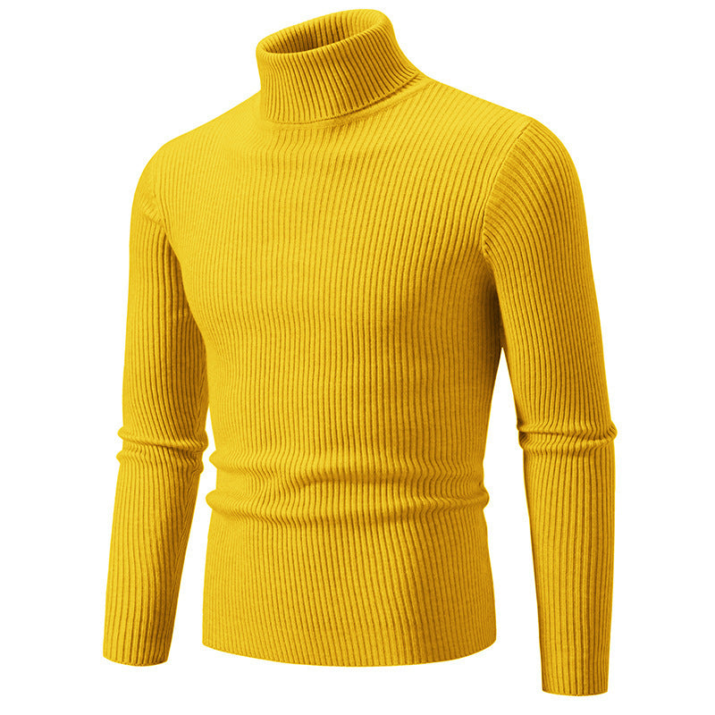 Herren Rollkragenpullover aus fein geripptem Material Aliams
