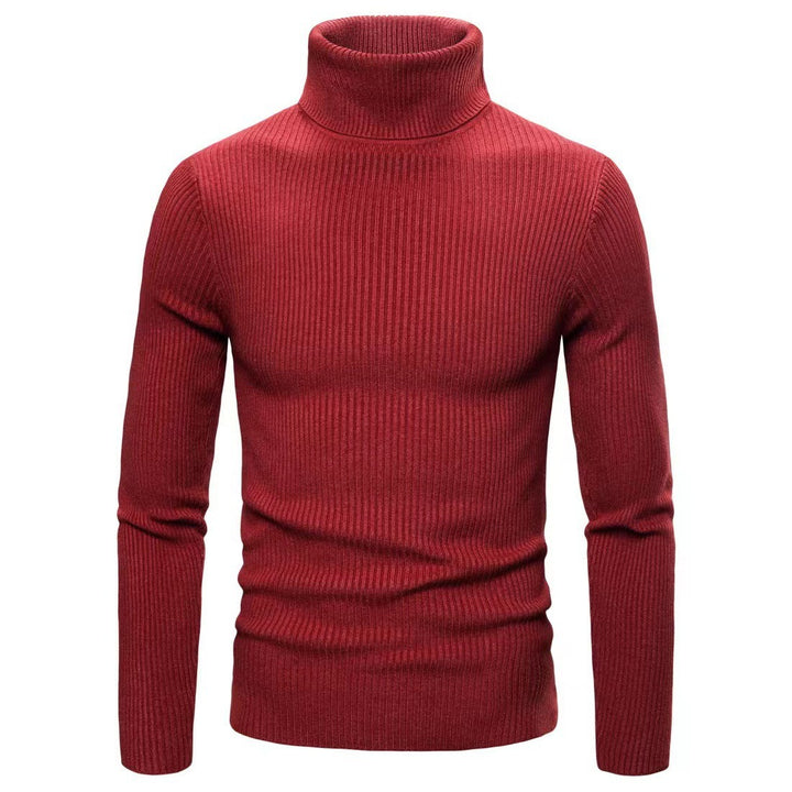 Herren Eleganter Rollkragenpullover aus feiner Strickqualität Aliams