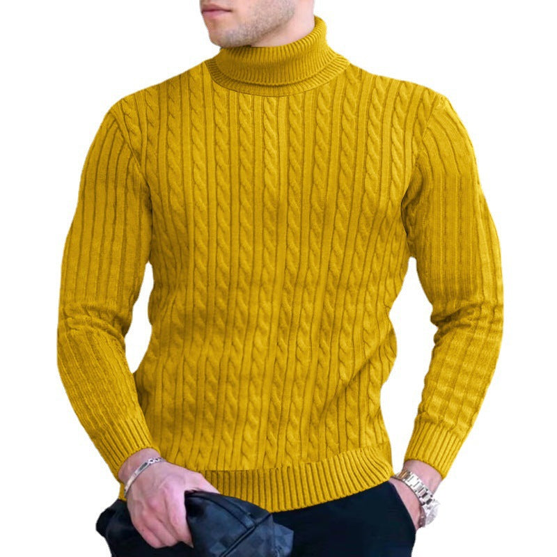 Herren Eleganter Strickpullover mit Stehkragen und feinem Zopfmuster Aliams