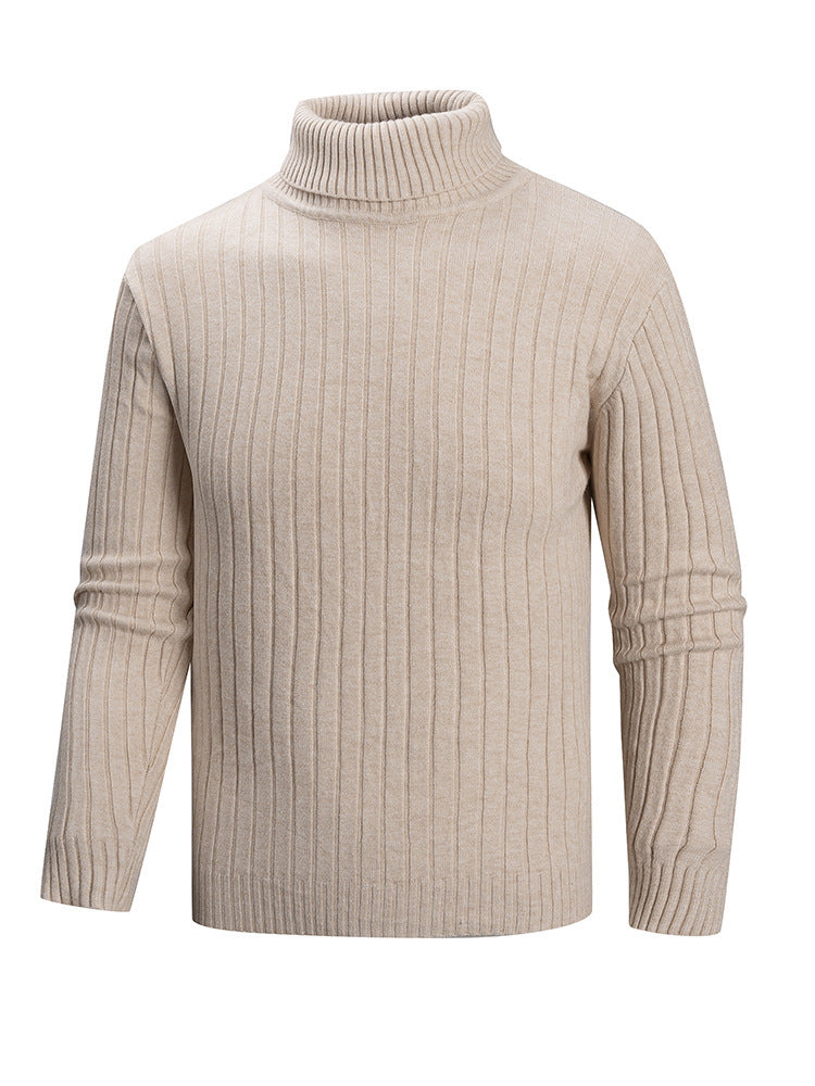 Herren Rollkragenpullover aus hochwertigem Feinstrick Aliams