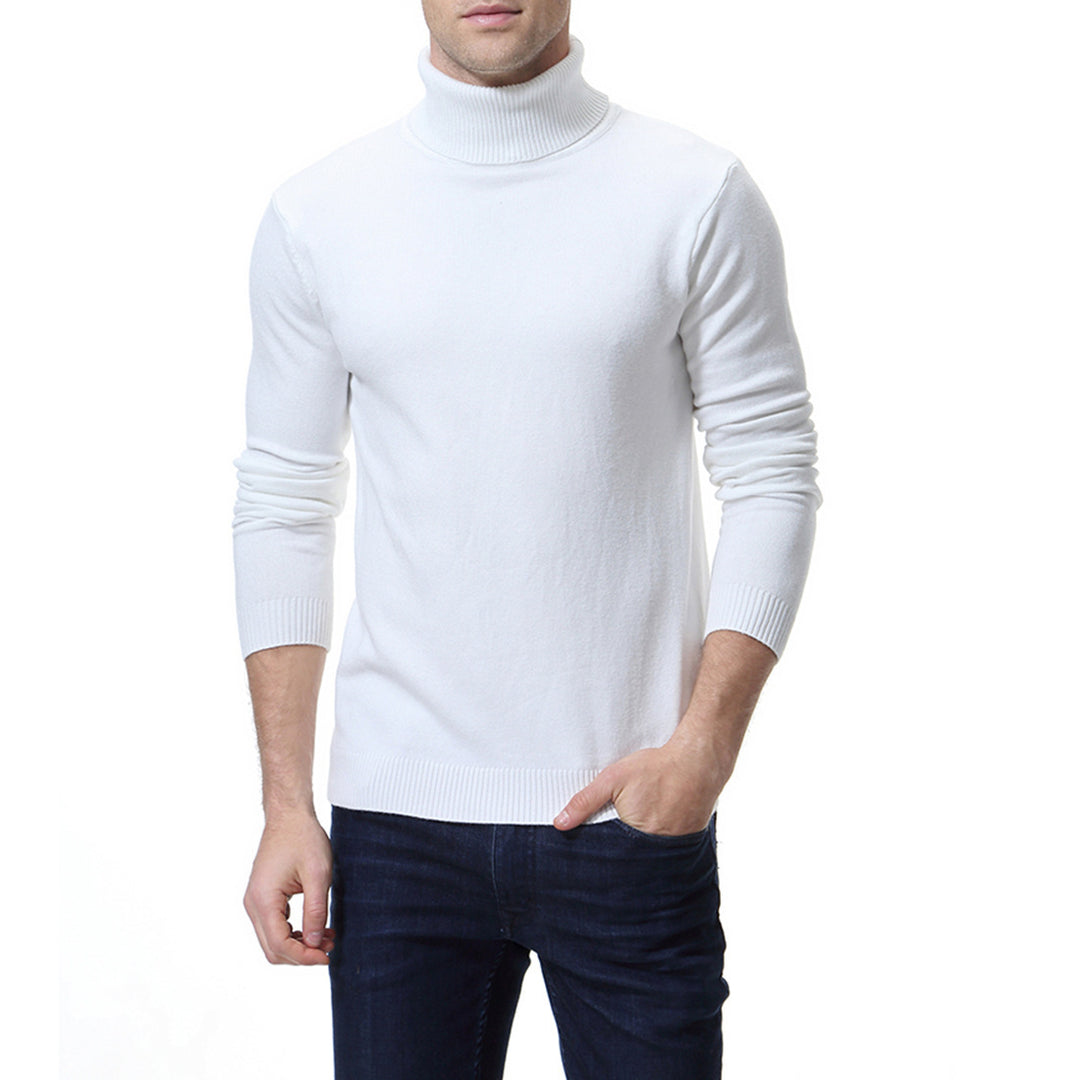 Herren Rollkragenpullover aus feiner Baumwolle Aliams