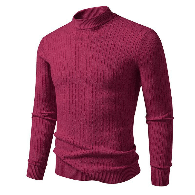 Herren Rollkragenpullover aus strukturiertem Strick Aliams