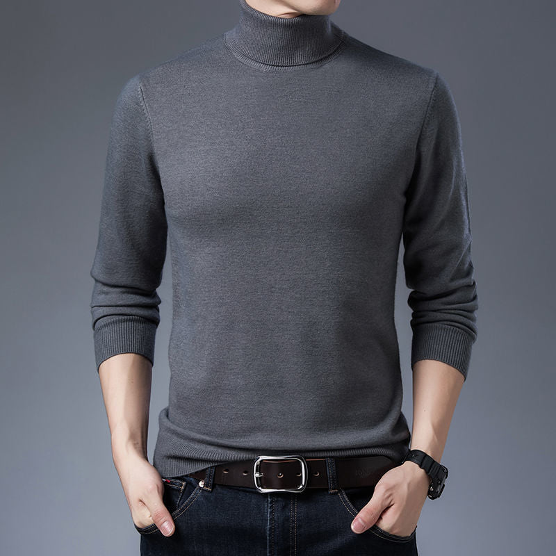 Herren Rollkragenpullover aus weichem Strick Aliams