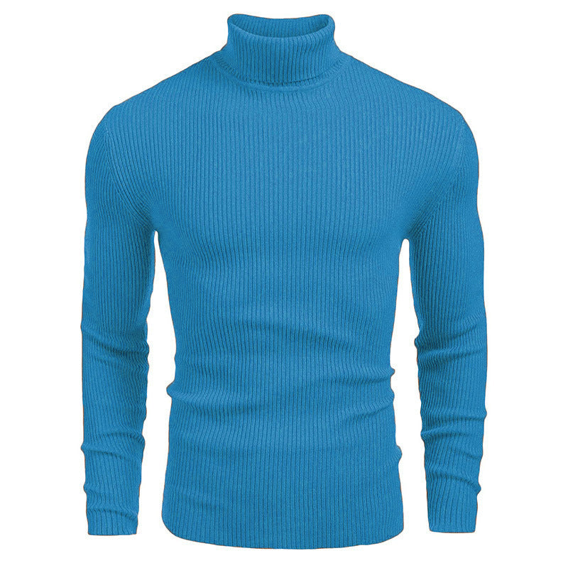Herren Rollkragenpullover aus feinem Rippstrick Aliams