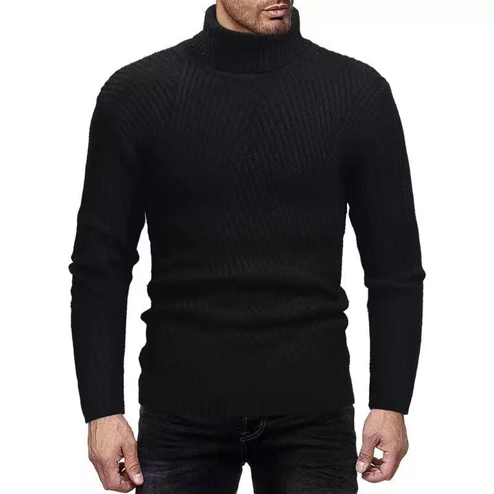 Herren Rollkragenpullover mit gerippter Struktur Aliams