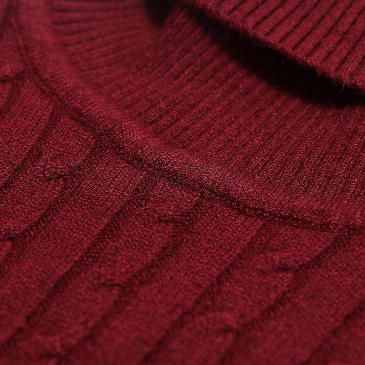 Herren feinstrick Rollkragenpullover Aliams