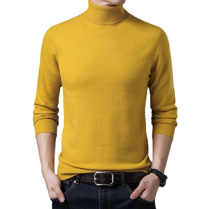 Herren Rollkragenpullover aus weichem Strick Aliams