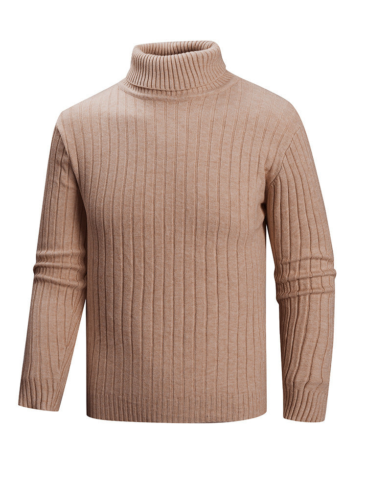 Herren Rollkragenpullover aus hochwertigem Feinstrick Aliams