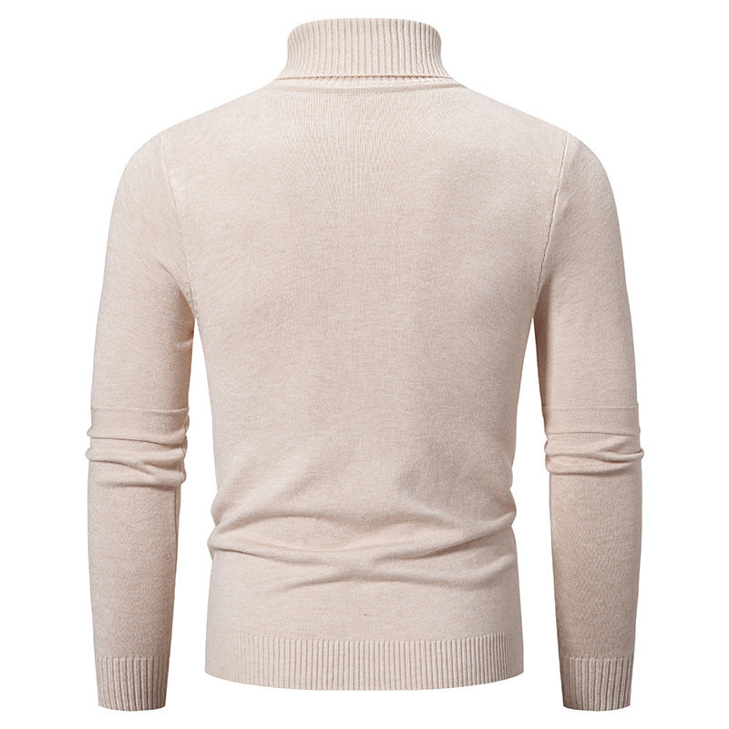 Herren eleganter Rollkragenpullover mit modernem Zopfmuster Aliams