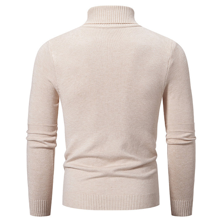 Herren eleganter Rollkragenpullover mit modernem Zopfmuster Aliams