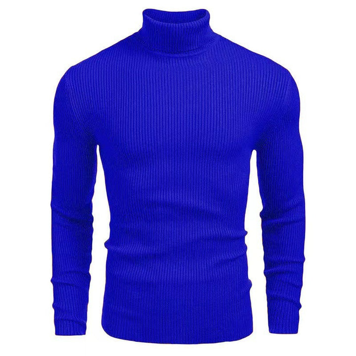 Herren Rollkragenpullover mit strukturiertem Rippenmuster Aliams