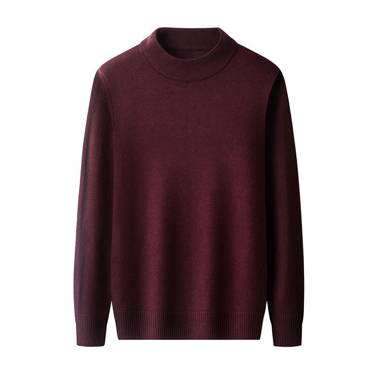 Herren eleganter Pullover mit hochgeschlossenem Kragen Aliams