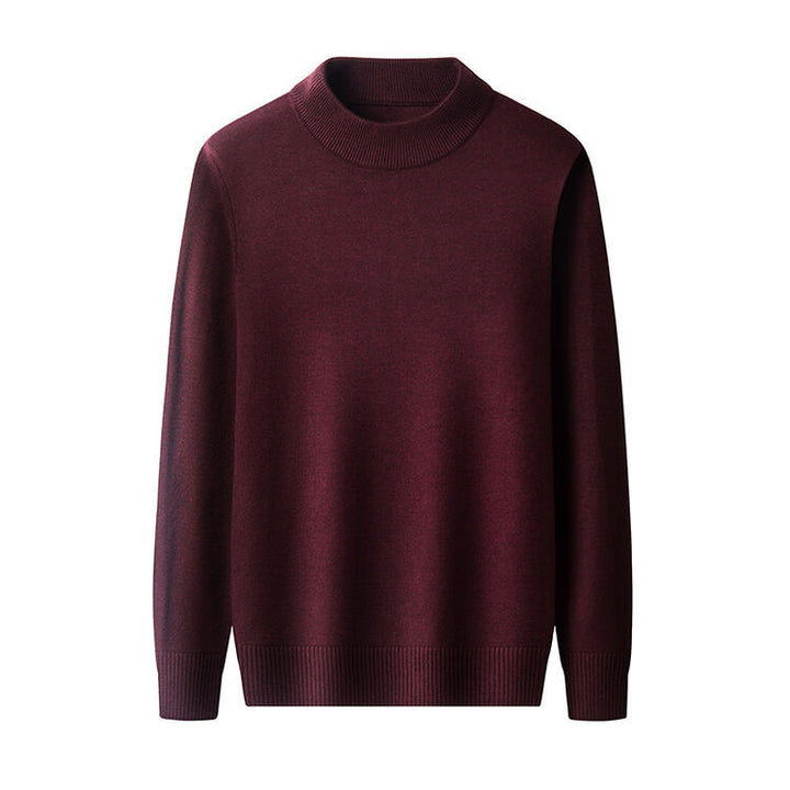 Herren eleganter Pullover mit hochgeschlossenem Kragen Aliams