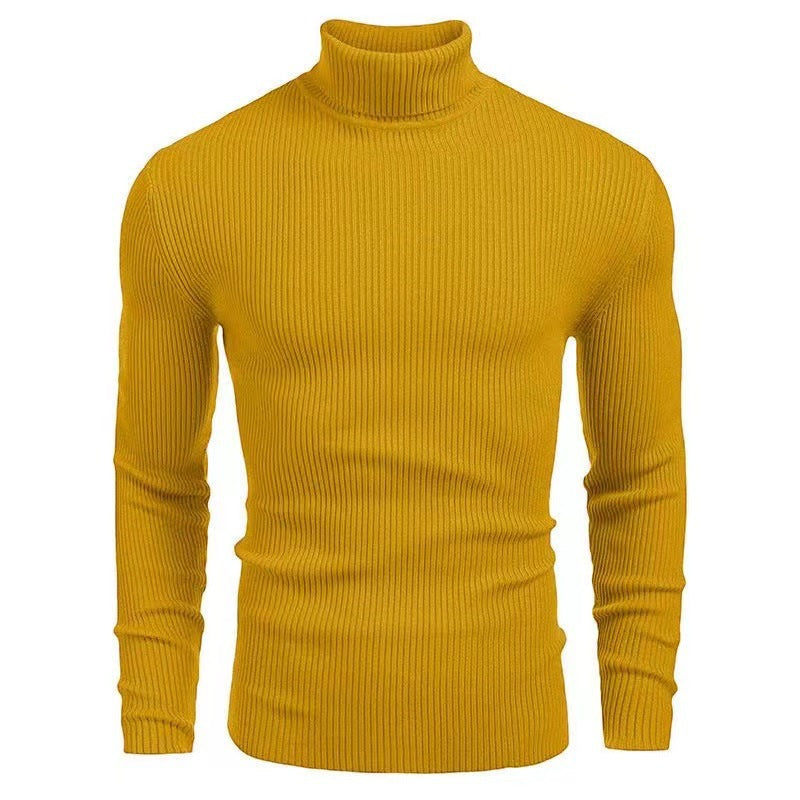 Herren Rollkragenpullover mit strukturiertem Rippenmuster Aliams