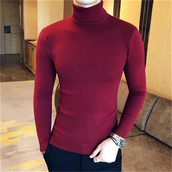 Herren Elegante Rollkragenpullover aus hochwertigem Baumwollmix Aliams
