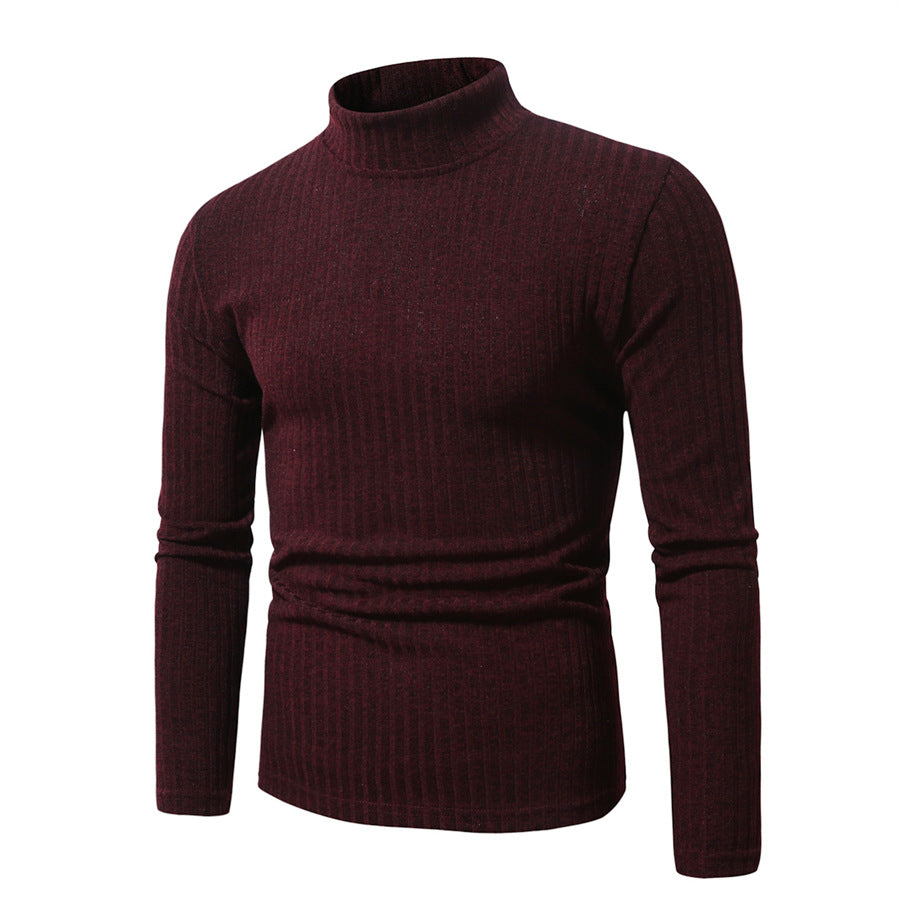 Herren feinstrickender Rollkragenpullover Aliams