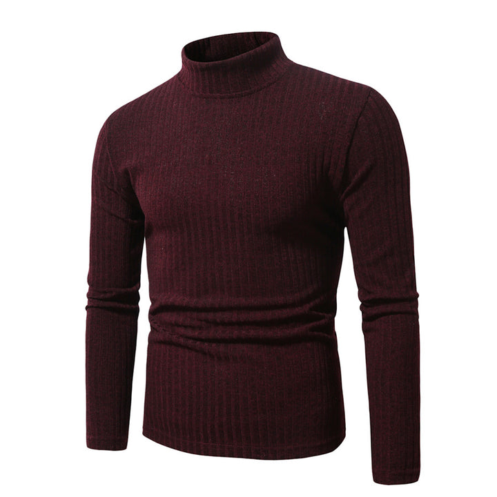 Herren feinstrickender Rollkragenpullover Aliams