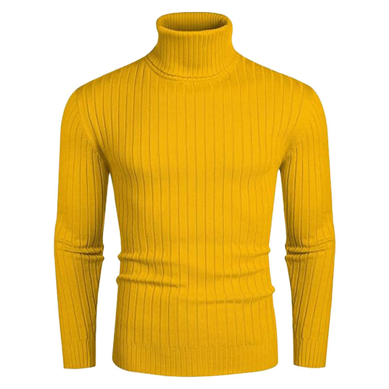 Herren Rollkragenpullover aus elastischem Strickmaterial mit feinem Rippendesign Aliams
