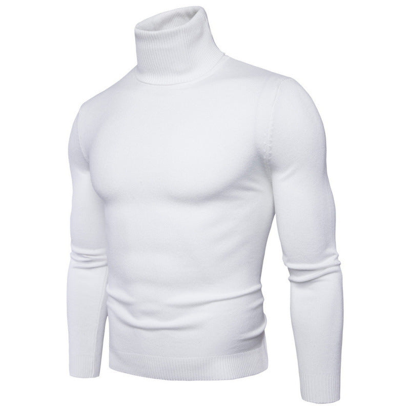 Herren Rollkragenpullover aus hochwertiger Baumwollmischung Aliams