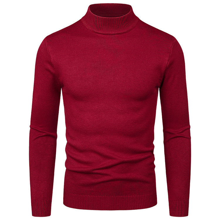 Herren Rollkragenpullover aus hochwertiger Wolle Aliams