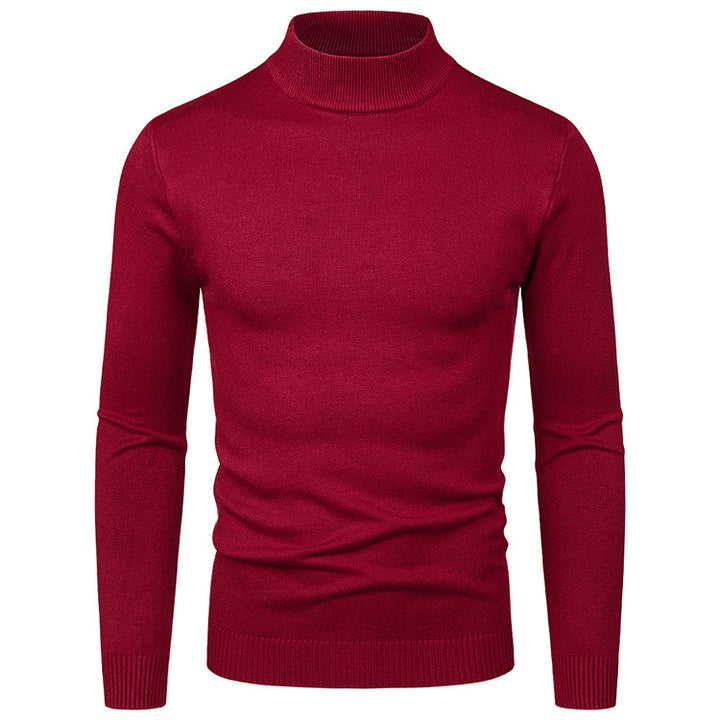 Herren Rollkragenpullover aus hochwertiger Wolle Aliams