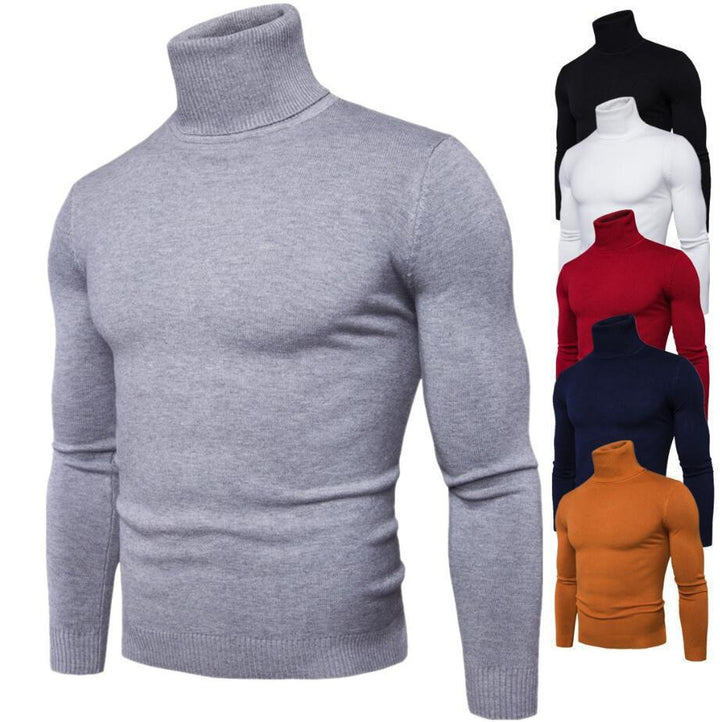 Herren Rollkragenpullover aus feiner Strickware Aliams